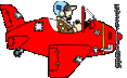 Red Airplane