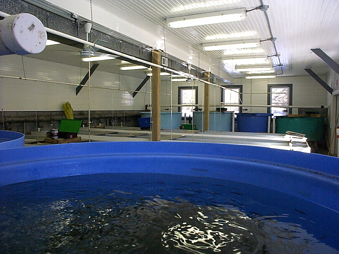 Growout Tank