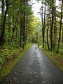 North of Rt 149 photo of North of Rt 149