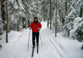 photo of cross country skier