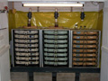 photo of egg incubators