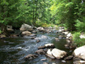 photo of trout stream